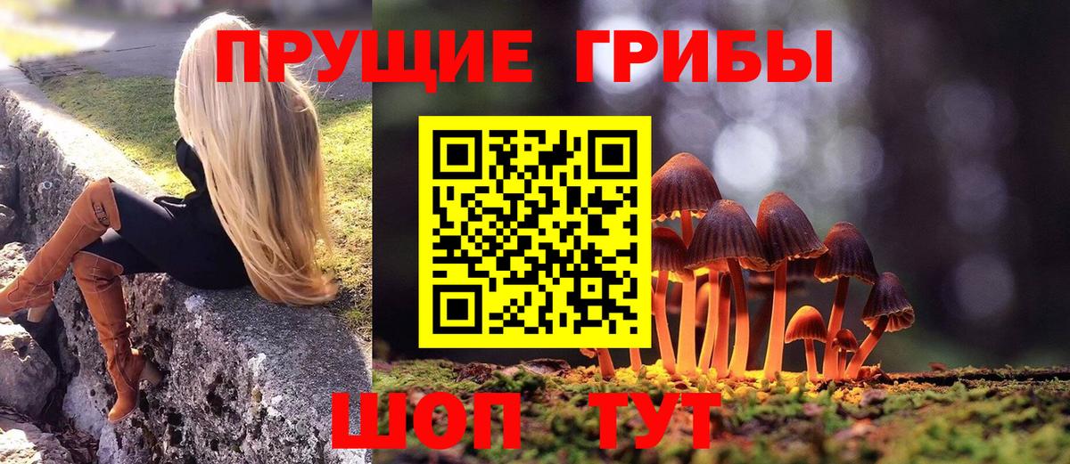 Галлюциногенные грибы мухоморы Фрязино