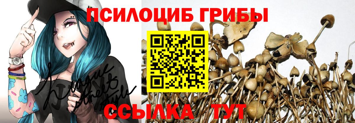 Фрязино  Псилоцибиновые грибы Magic Shrooms  Вход с VPN  Галлюциногенные грибы Psilocybe 