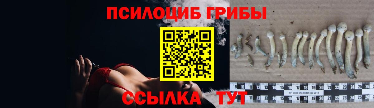 Галлюциногенные грибы ЛСД Фрязино